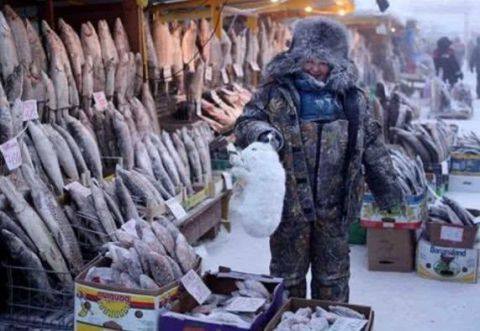 全球最冷的地方!极端最低温为零下64.4度