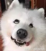 生活需要刺激下一句,生活需要点刺激