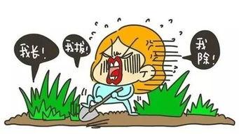 双十一最值得买的几款车,双十一的拔草之物