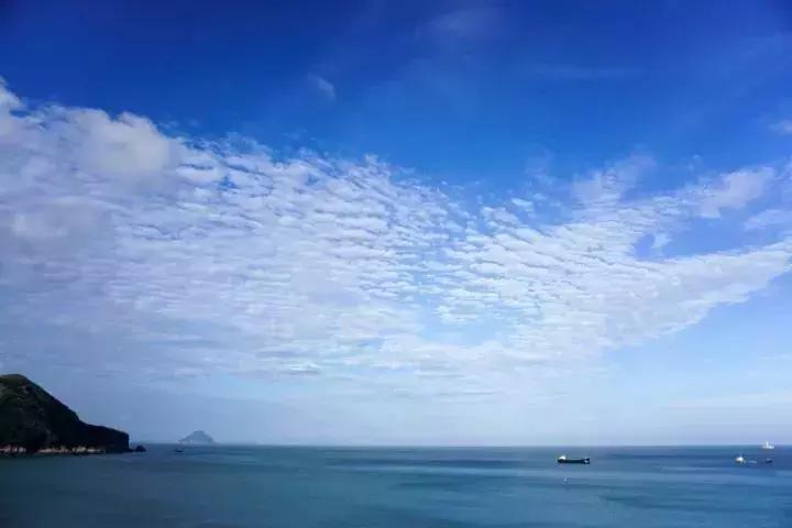 从世界500强企业辞职创业,从世界500强辞职