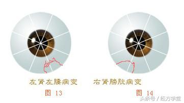 经方学习讲座,经方学堂分享