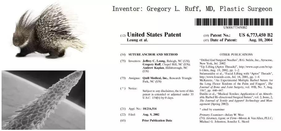 施尔美直播回放,施尔美2023春季新品发布会