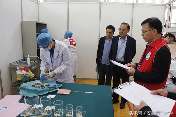 安徽医科大学挑战杯校赛获奖名单,安徽医科大学挑战杯