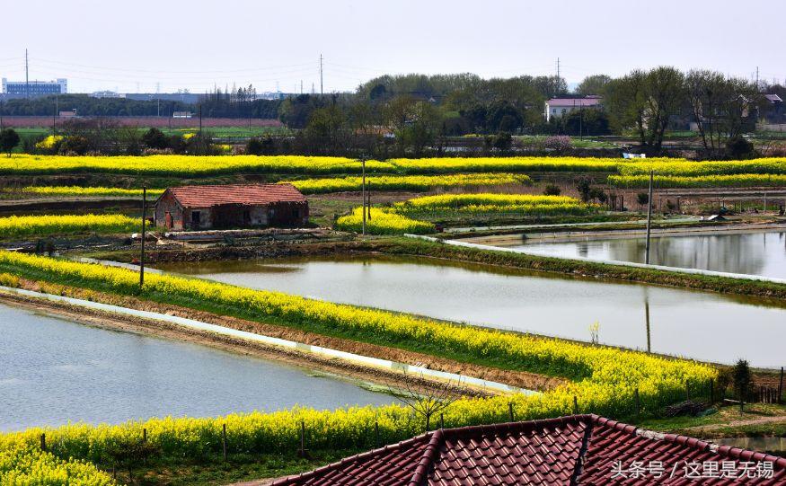 无锡正在消失的古村,无锡的真实村庄