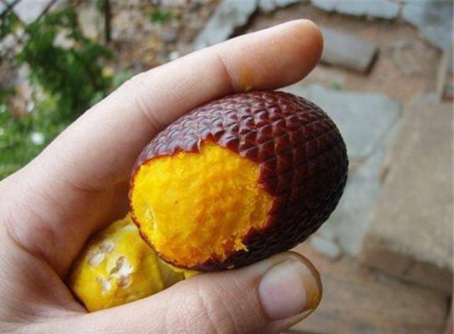全世界最贵的20种水果排名,世界上最贵的水果排行榜前十名