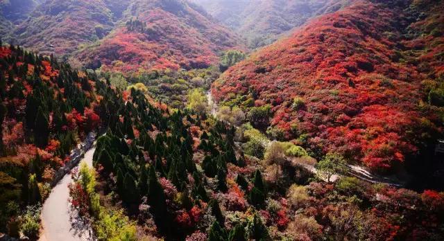 济南红叶谷在济南什么位置,山东济南红叶谷秋色