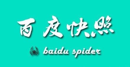 百度快照劫持seo,百度快照被劫持怎么恢复