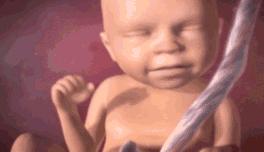 22周胎儿在肚子里的视频,22周胎儿在腹中真实照片