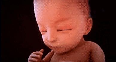 22周胎儿在肚子里的视频,22周胎儿在腹中真实照片