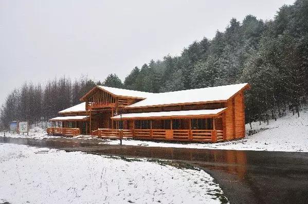 重庆冬天看雪景点,重庆最近看雪景的十大绝佳地点