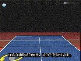 乒乓球基础知识学习,乒乓球新手必须掌握的几种旋转