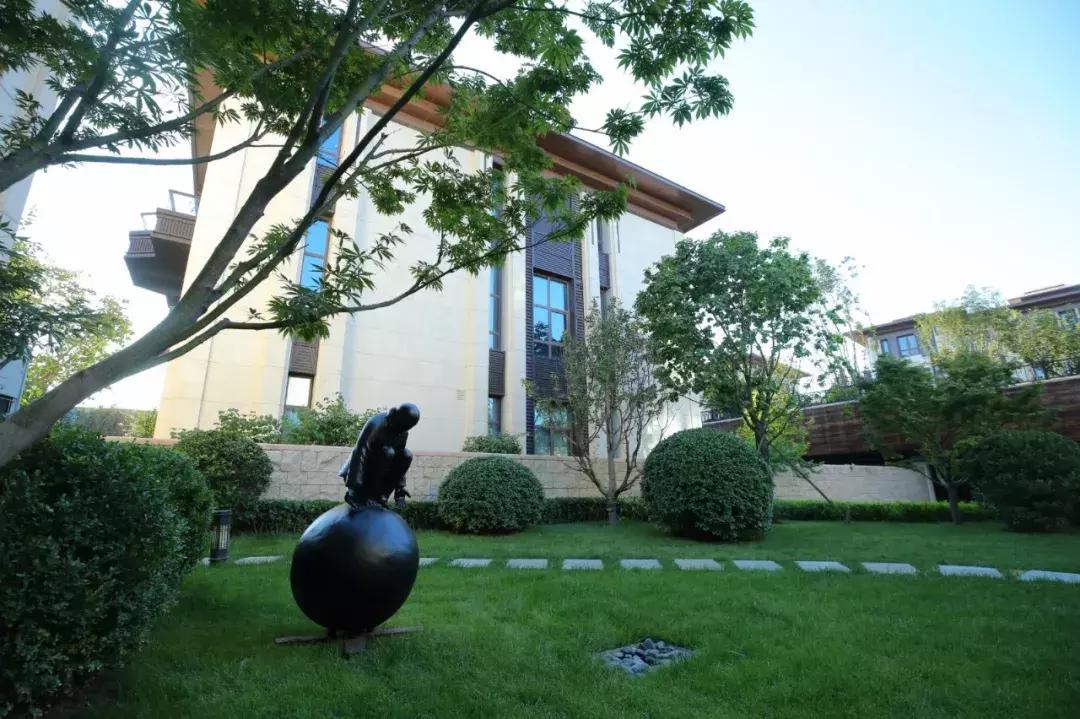 围棋少年的一生,围棋少年讲解视频全集