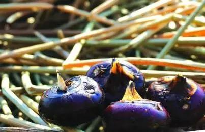 对不起我要去珠海买房,对不起我要去刺猹了