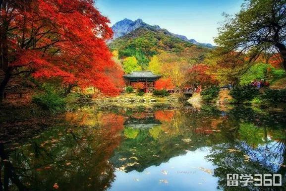 去韩国留学要带什么吃的,去韩国留学必带清单