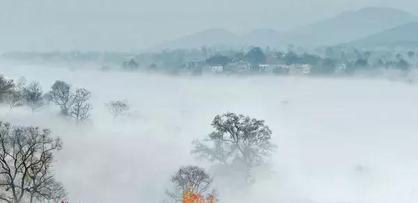 大悟,一个和婺源相媲美的地方,等了一整年的最红秋色终于来了!