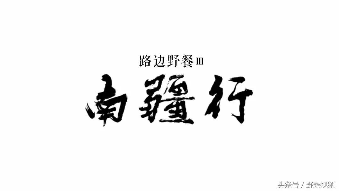 食物是世界上最好的语言,食物是最美味的用英语怎么说