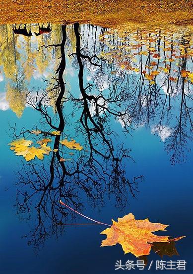 70张让人大开眼界的照片,50张让人惊艳的照片