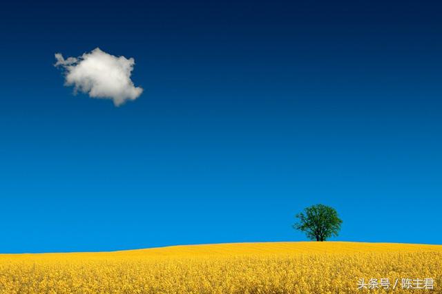 70张让人大开眼界的照片,50张让人惊艳的照片