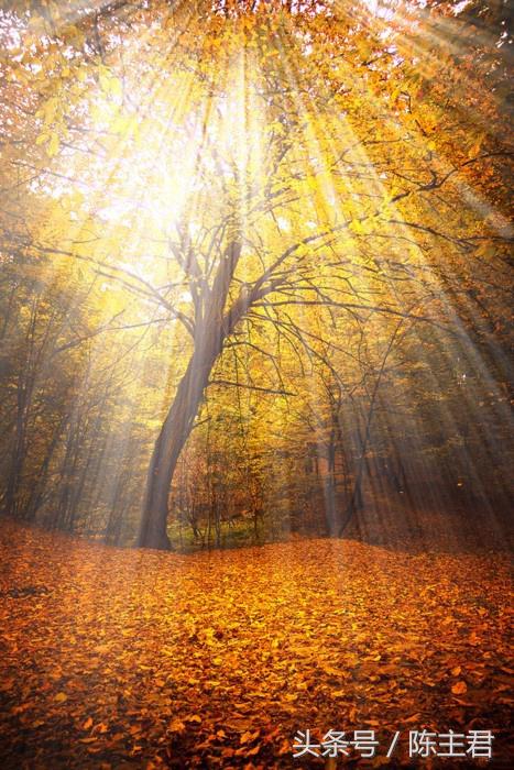 70张让人大开眼界的照片,50张让人惊艳的照片