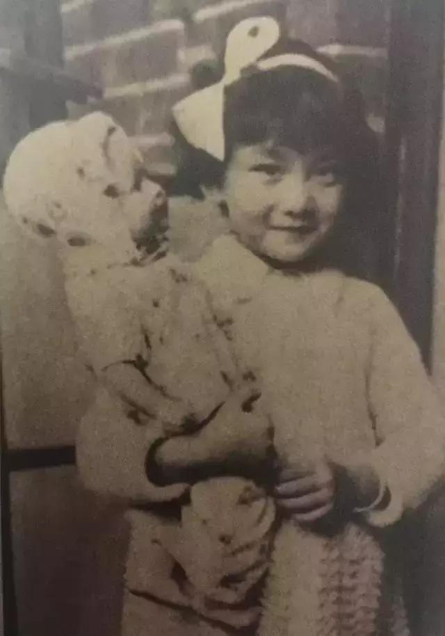 金庸评价最经典小龙女,金庸最美女人是谁