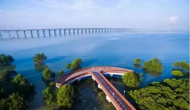 深圳向世界发出邀请,向世界推介深圳