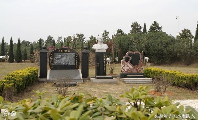 杨公格龙入首怎样立向,九星入首寻龙与立向