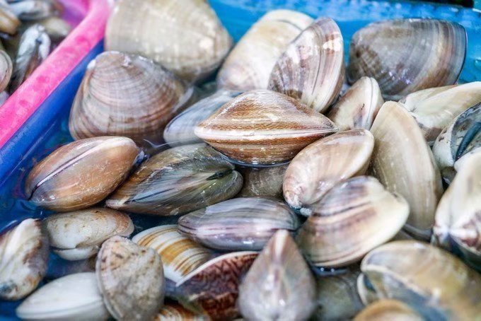 海口的特色美食有哪些,海口有哪些特色美食