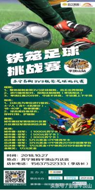 苏宁双十一玩法,苏宁双十一抢彩电