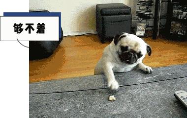 键盘字母顺序为什么是这么安排,键盘字母的顺序表