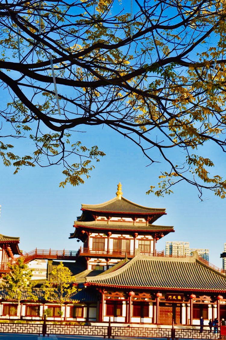 秋到上阳宫，黄叶蓝天高宫阙，皇帝都赞的美景，免费你都没去看？