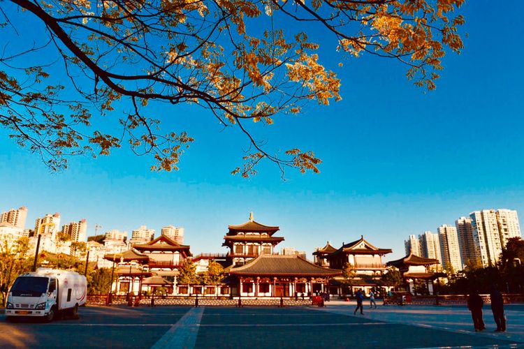 秋到上阳宫，黄叶蓝天高宫阙，皇帝都赞的美景，免费你都没去看？