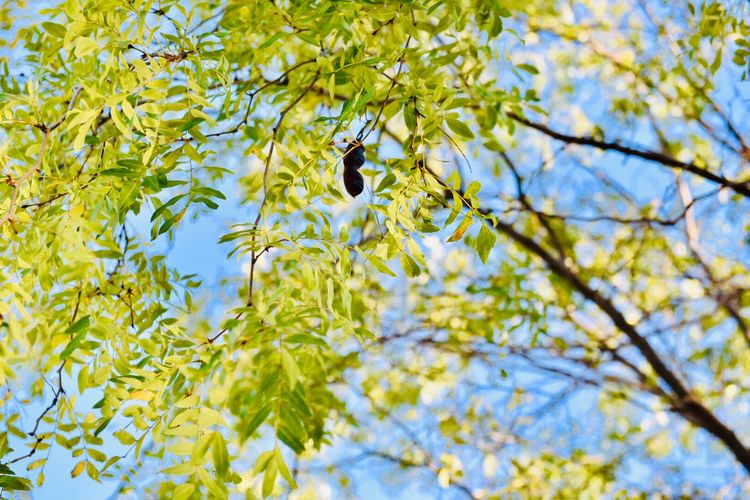 秋到上阳宫，黄叶蓝天高宫阙，皇帝都赞的美景，免费你都没去看？