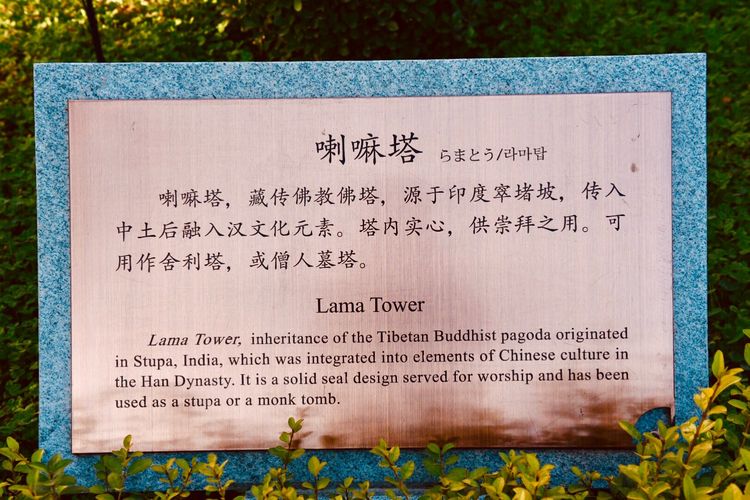 秋到上阳宫，黄叶蓝天高宫阙，皇帝都赞的美景，免费你都没去看？