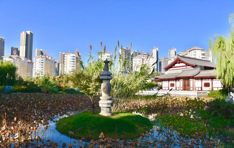 秋到上阳宫，黄叶蓝天高宫阙，皇帝都赞的美景，免费你都没去看？