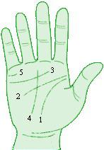 手相为何预示命运,手相分析命运准确度高吗