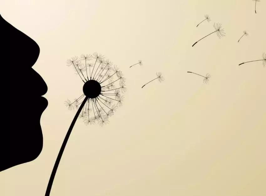 含有风字的古诗句100首,描写风的古诗20首简单易懂