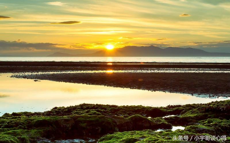 青春岁月里你“窃”过东西吗?往事不堪回首,我先自我揭发