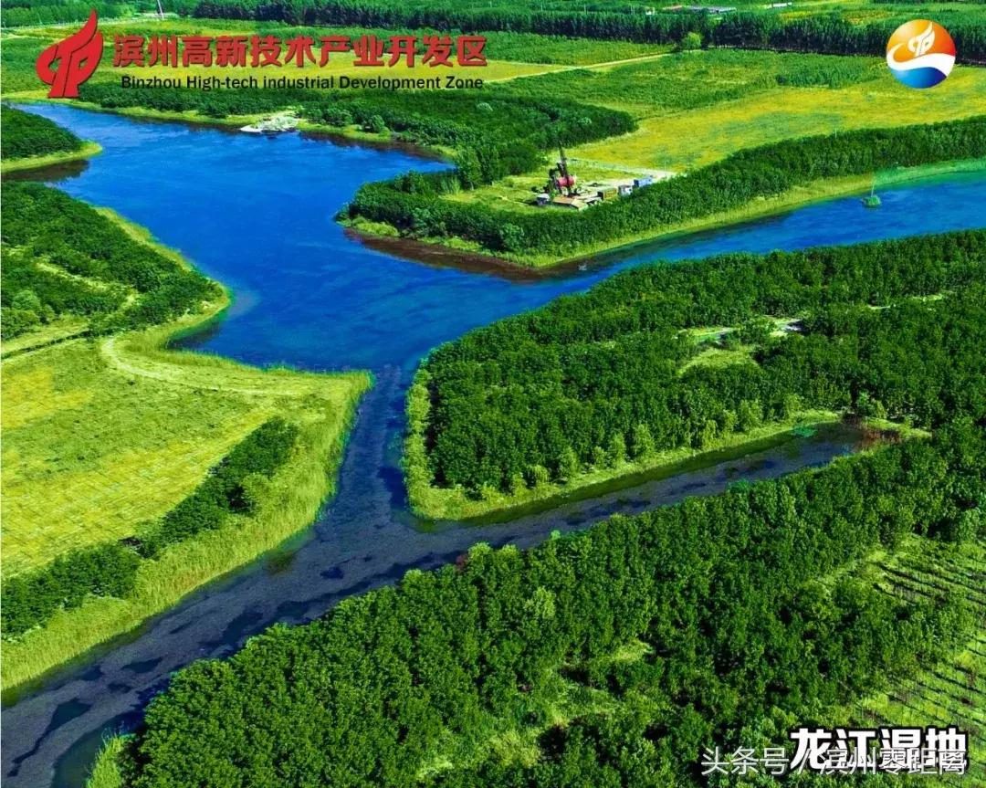 滨州森林村居,滨州森林小镇有哪些