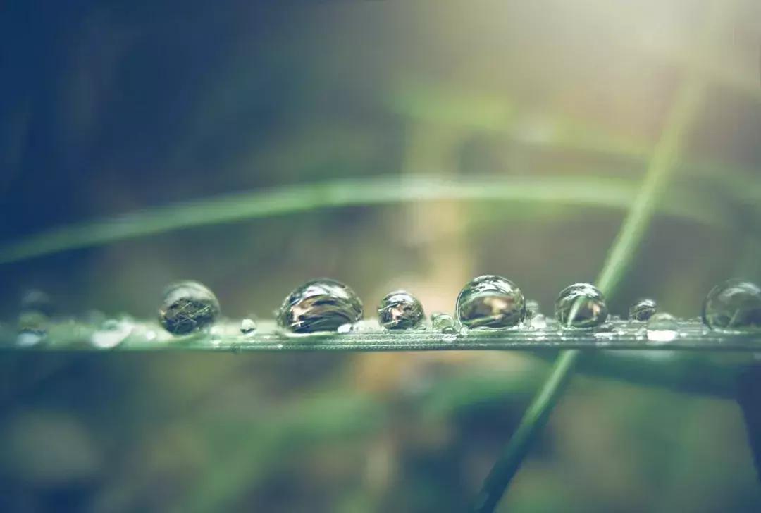 一句话掌握多音字最新版,一句话学会六十个多音字