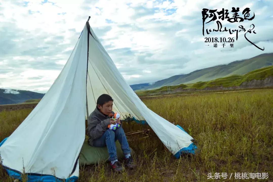 影向标第166期：《阿拉姜色》《铁血战士》《昨日青空》