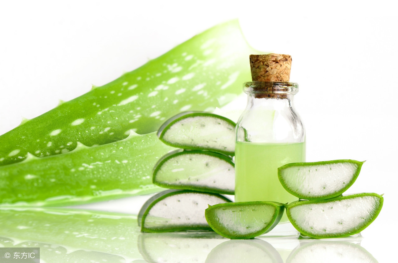 芦荟胶的多重功效，用好了能省一大笔钱