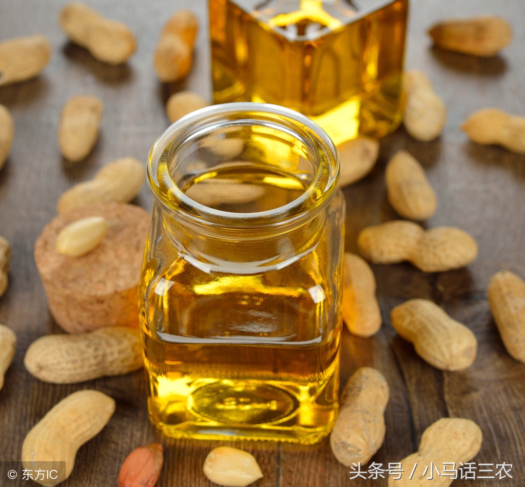 花生油为什么其他食用油更健康,为什么花生油的营养价值这么高