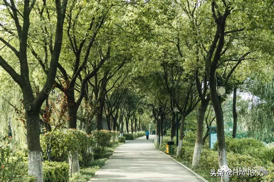 汉口夏天,汉口夏日