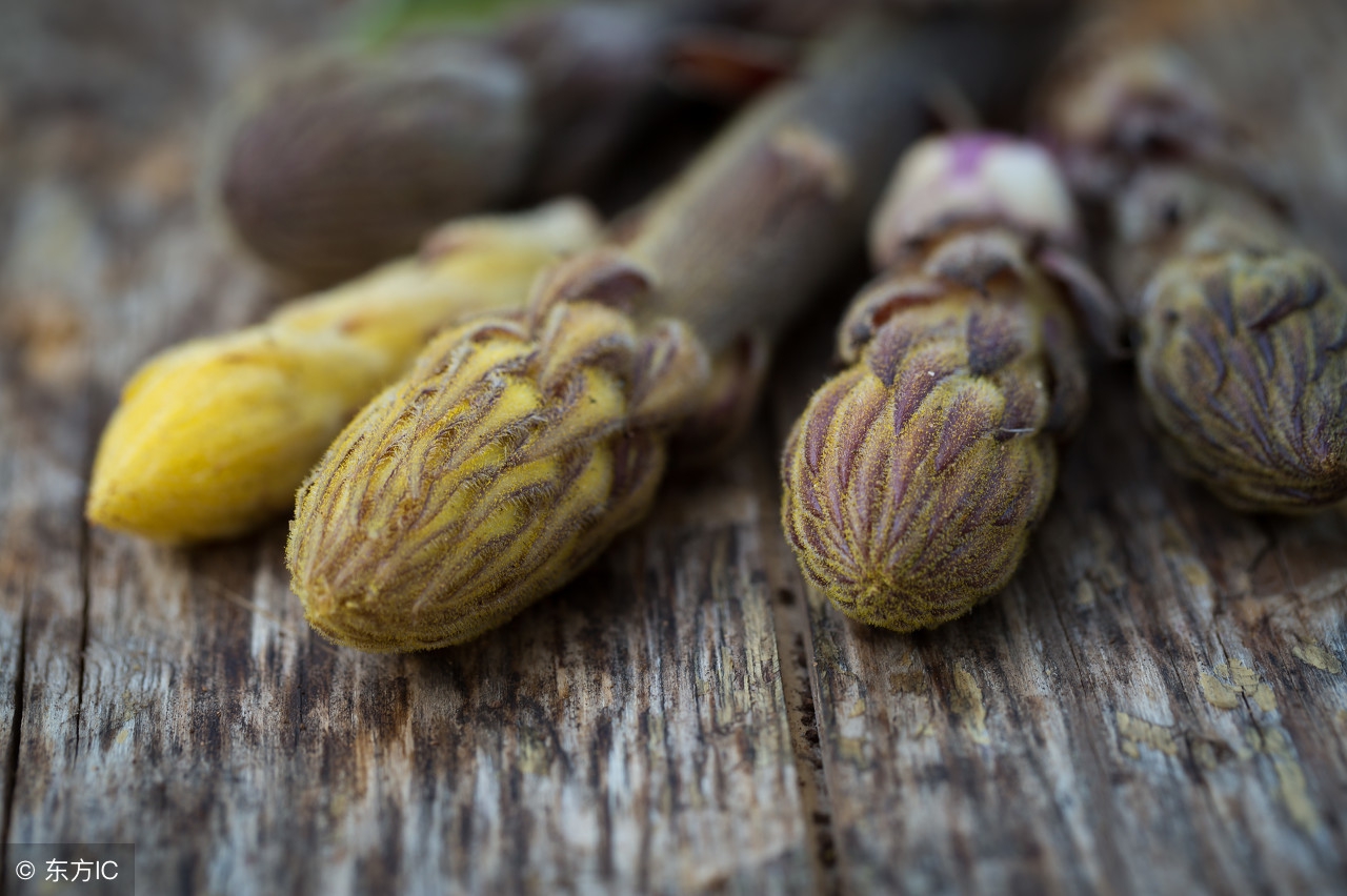 内蒙古阿拉善肉苁蓉直销,阿拉善野生肉苁蓉直播间