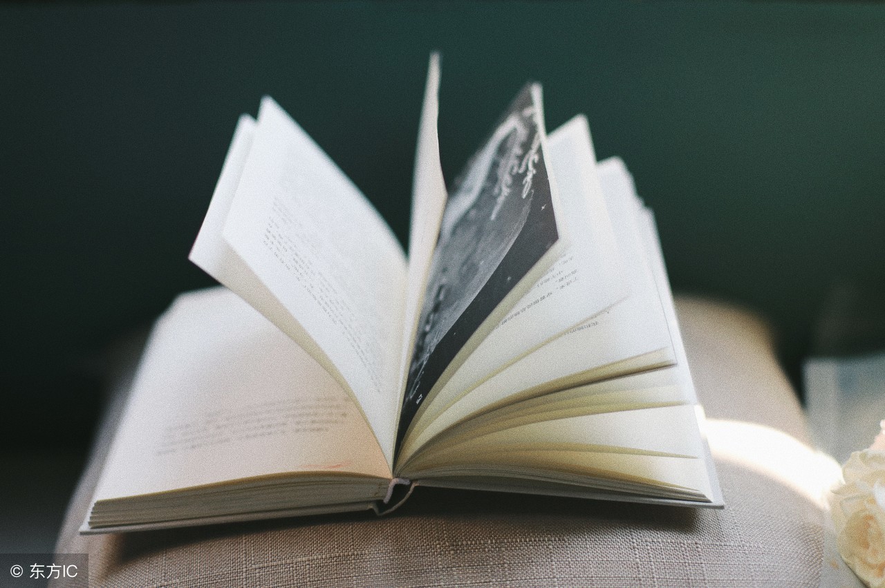 炒股的智慧经典语录,炒股的智慧读后感