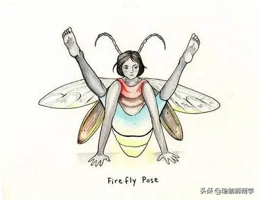 100张户外瑜伽唯美图片,各种动物瑜伽姿势图片