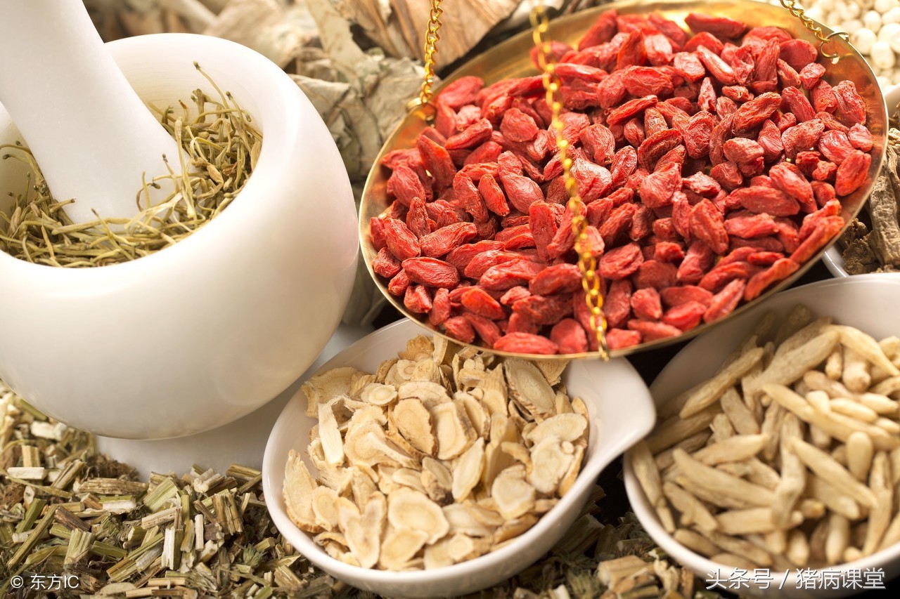 详述猪子宫炎的诊断及治疗措施