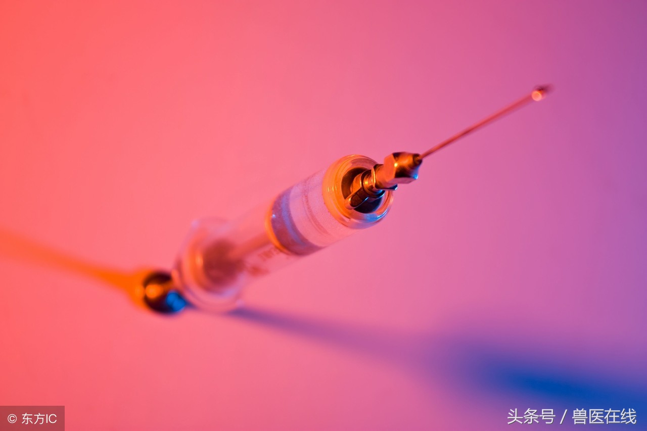 氟苯尼考治什么效果好,氟苯尼考单方用效果好吗