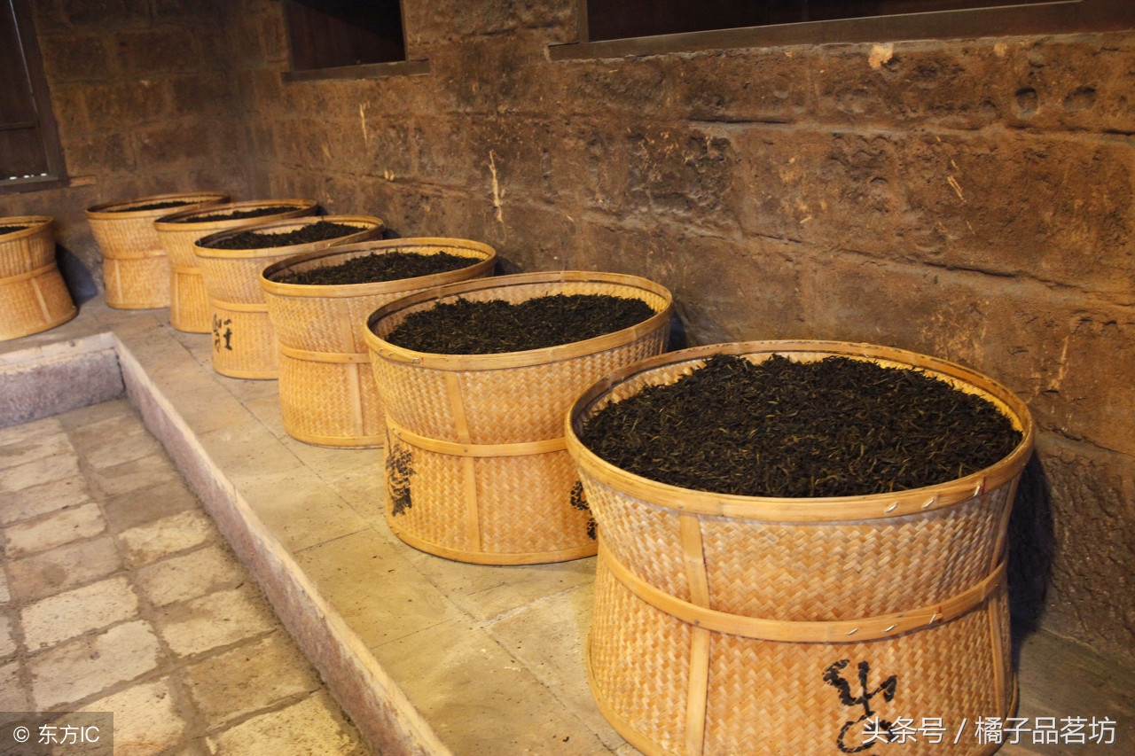 武夷岩茶还喝不懂?你没记住这“八字”要领吧!