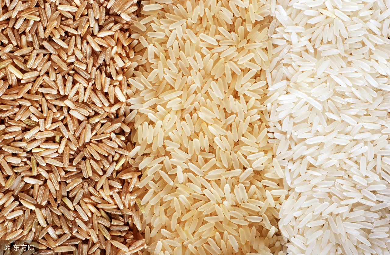 普通大米哪种比较好吃,红米与大米营养的区别